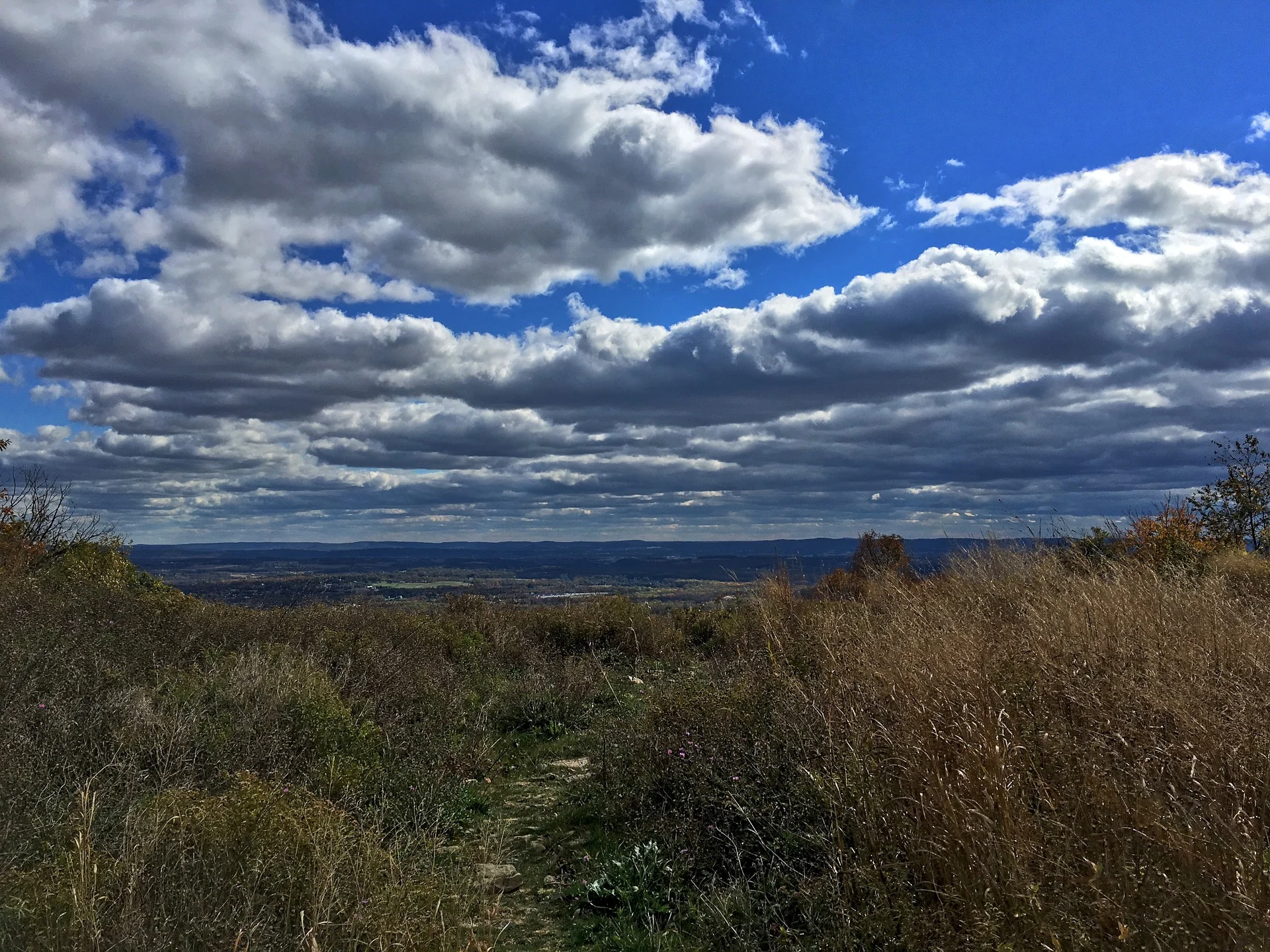 The Appalachian Trail